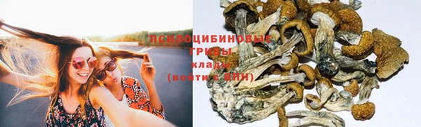 альфа пвп Беломорск
