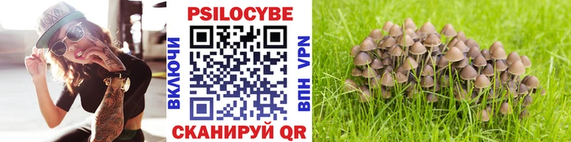 Галлюциногенные грибы Magic Shrooms  где купить наркоту  Гай 